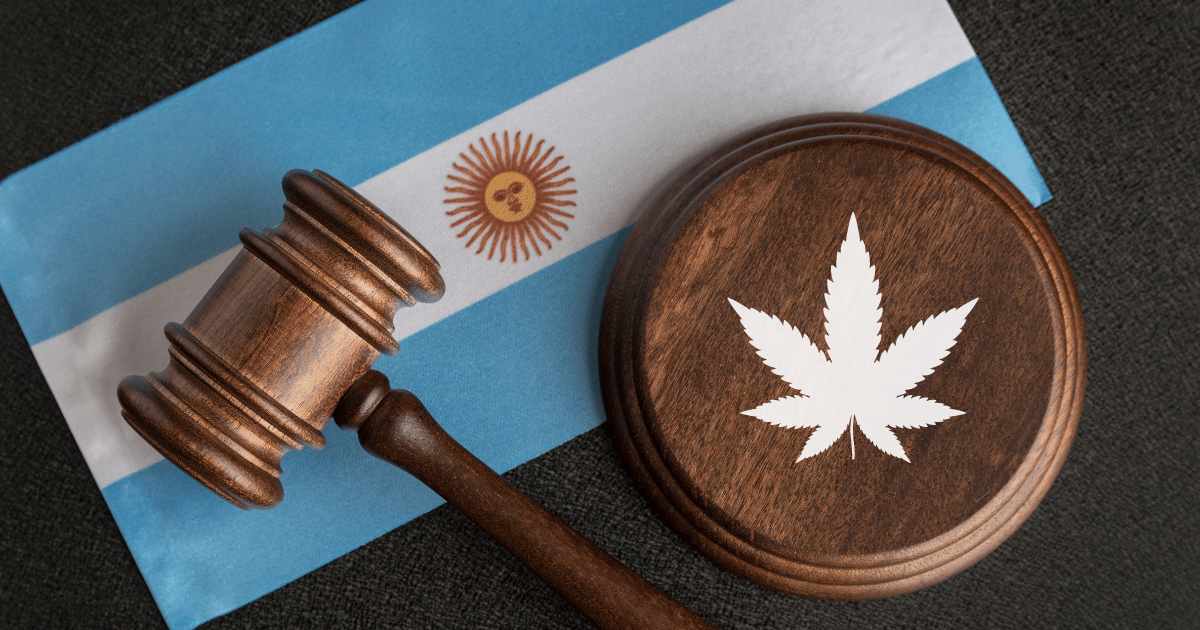 Cannabis medicinal na Argentina