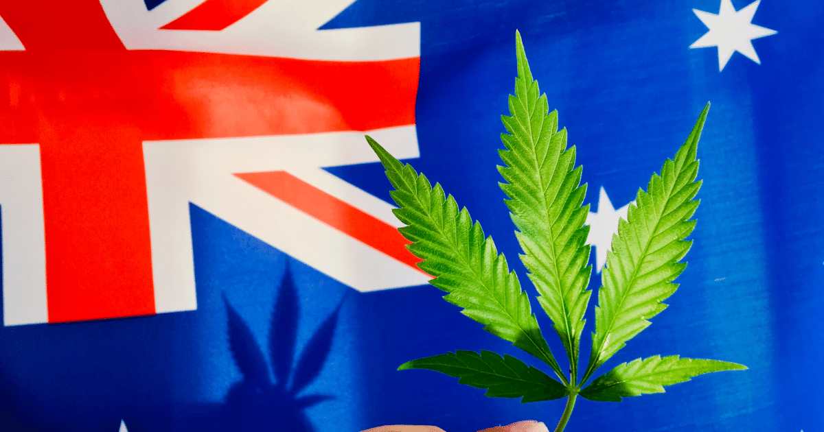 Como é o acesso à cannabis na Austrália