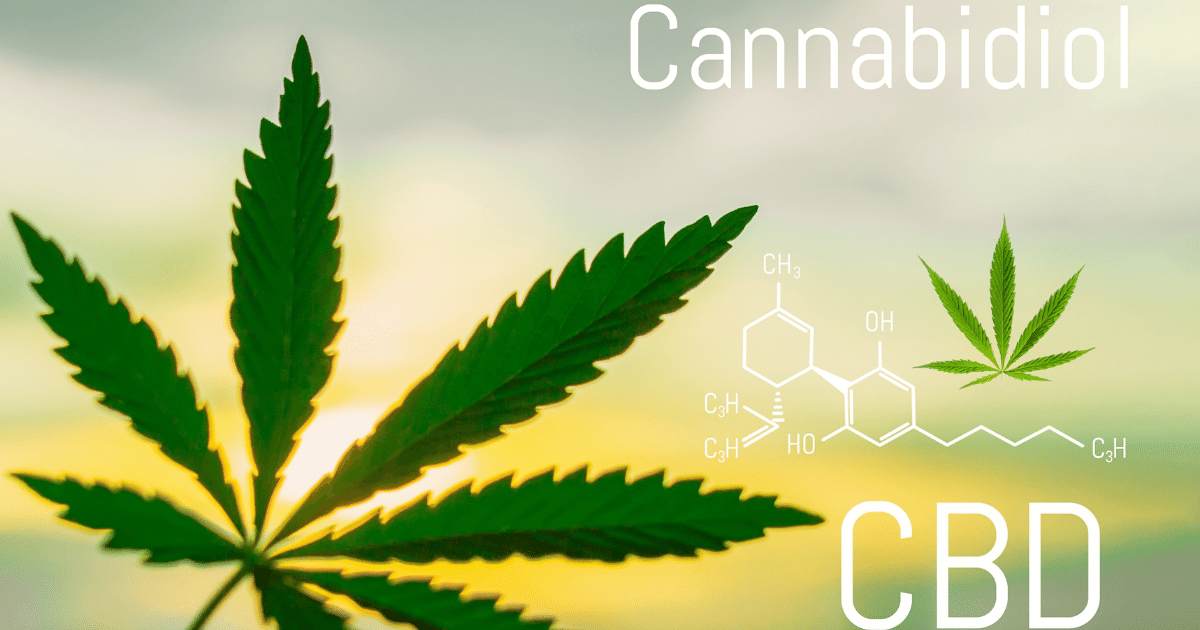 Canabinoides conheça o CBD