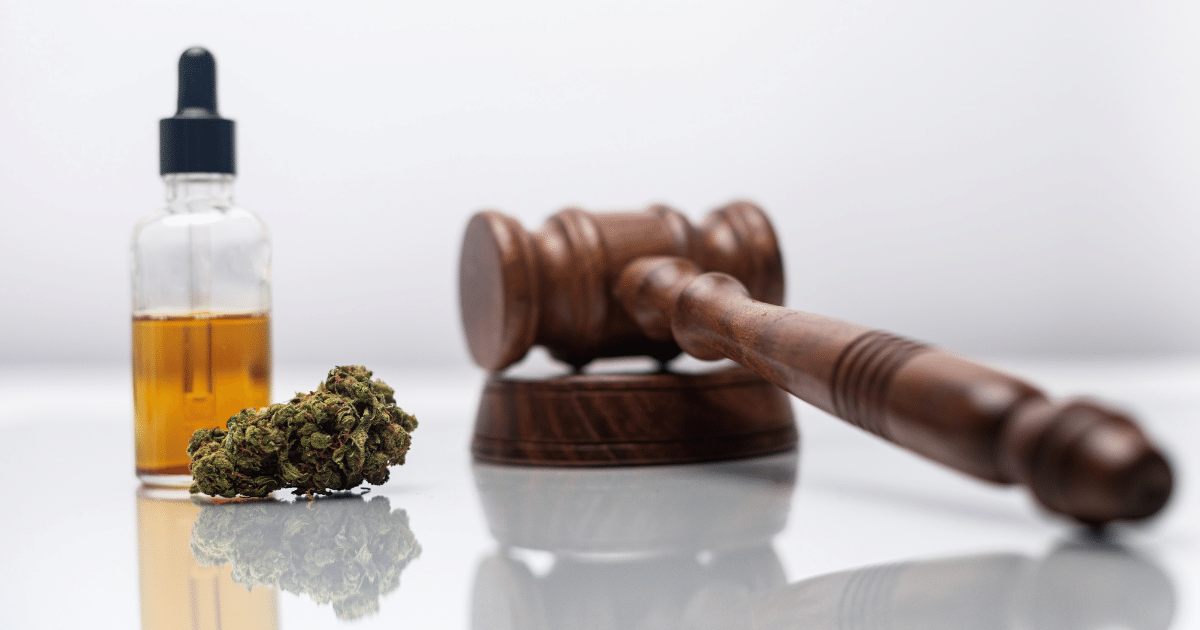 Anvisa aprova regulamentação do registro de produtos à base de cannabis