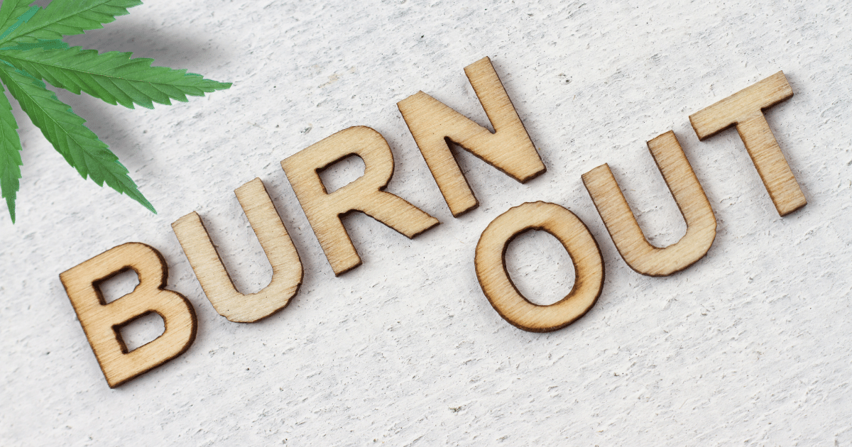 Burnout e cannabis: Saiba como a planta pode contribuir para o tratamento