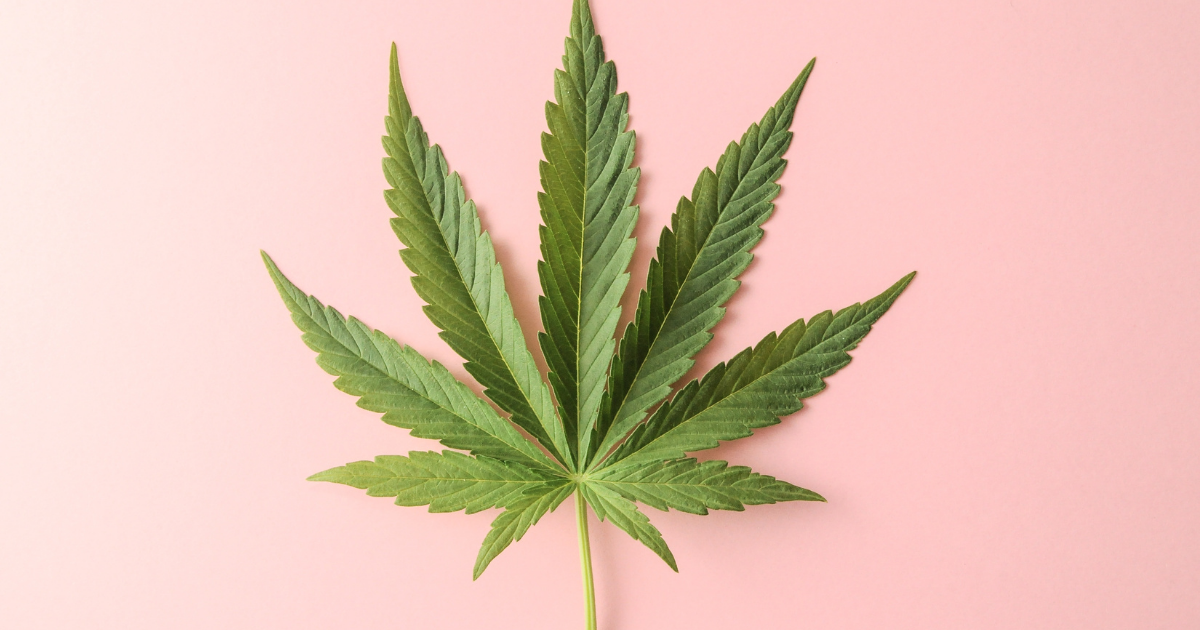 Cannabis e saúde da mulher: saiba tudo sobre o impacto na planta na saúde feminina